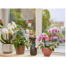 Опрыскиватель с рычажным механизмом GARDENA 0,75 л (Дисплей 45 шт.) 11110-30.000.00