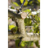 Секатор с храповым механизмом GARDENA SMARTCUT 08798-20.000.00